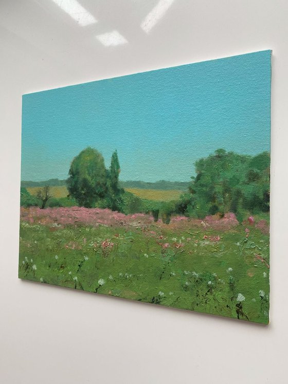 Wildflower meadow
