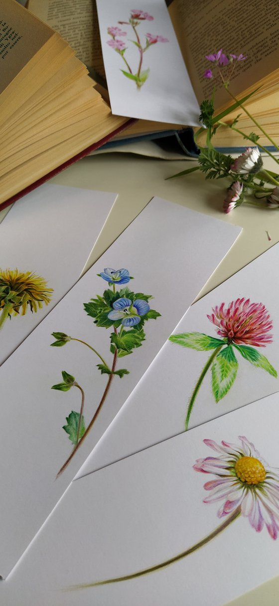 Clover Flower - from my Wildflowers Bookmarks Collection