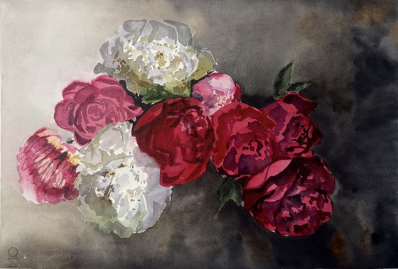 Whisper of Peonies