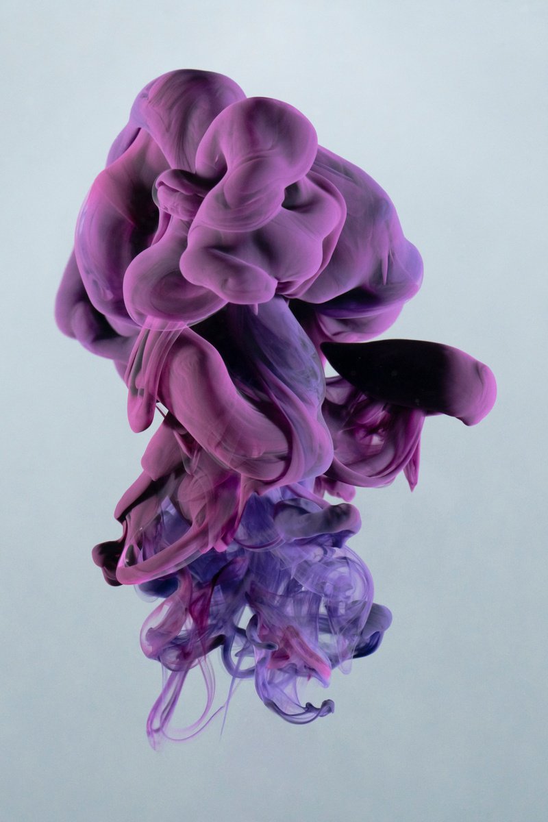 Abstract Photograph By Robert Kohlhuber, 12 X 18", Visitors Ii, Original Artwork