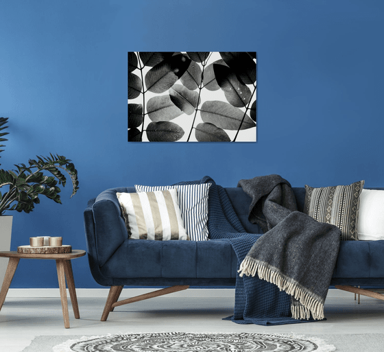 Experiments with Leaves II | Limited Edition Fine Art Print 1 of 10 | 90 x 60 cm