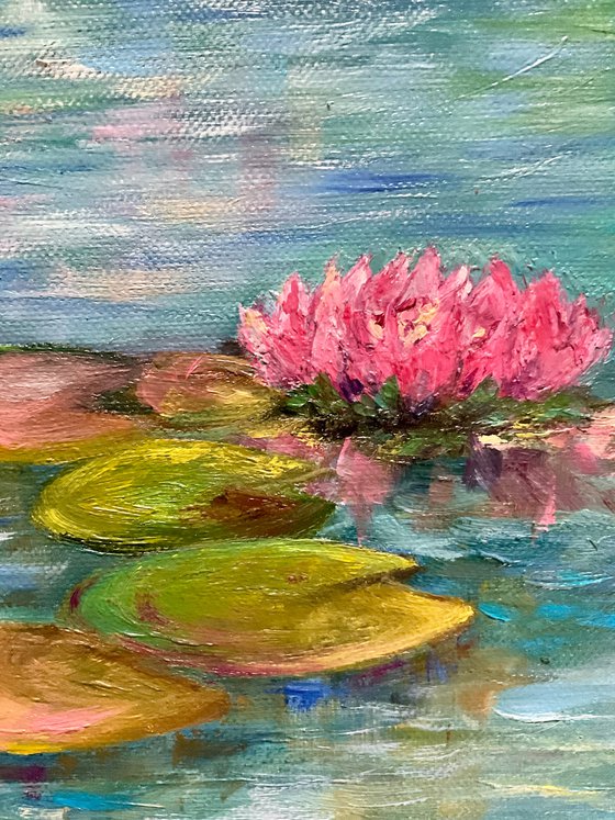 WATER LILIES