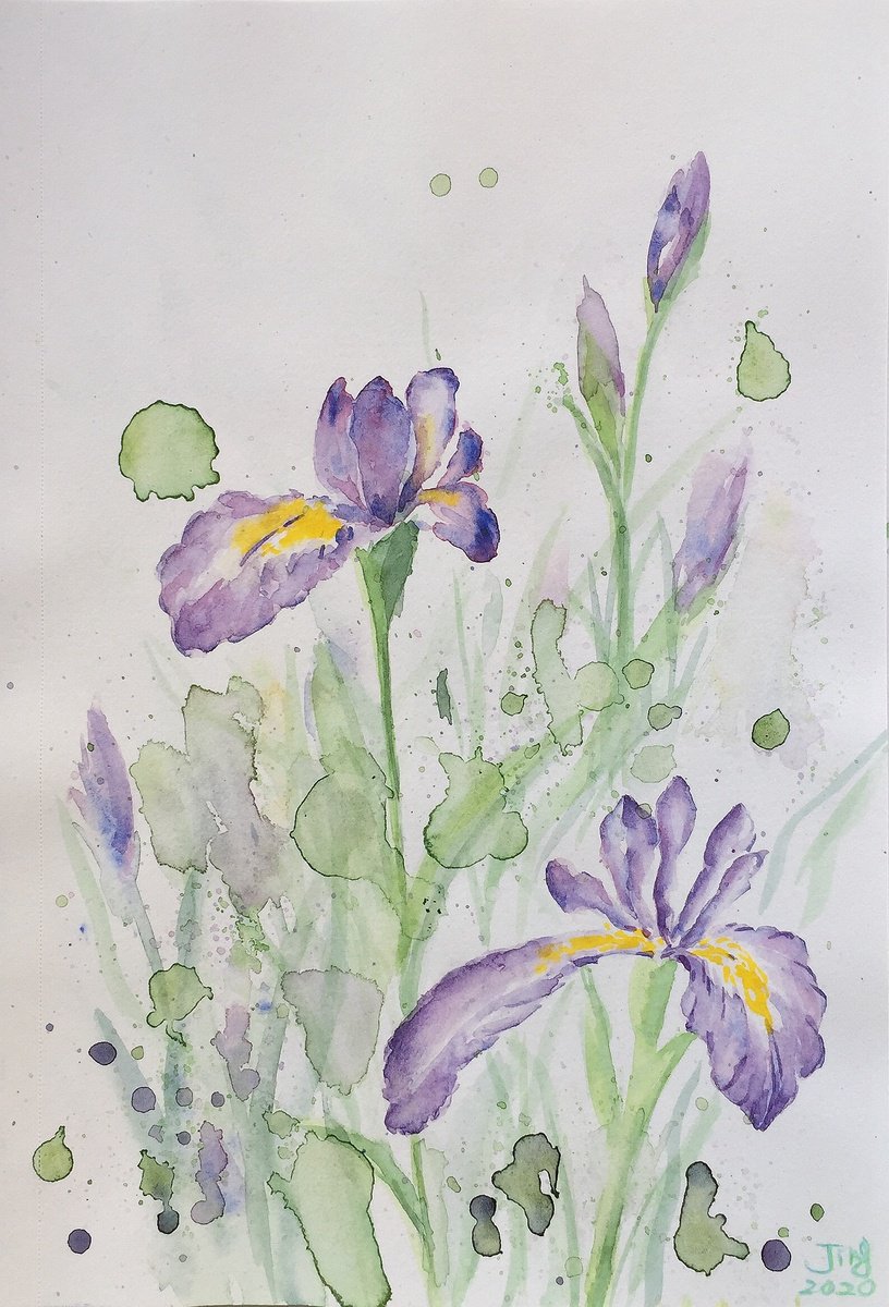 Purple Irises by Jing Tian