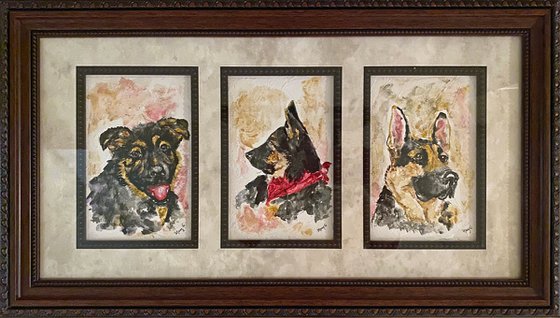 My favorite dog German Shepherd Watercolor 10x20 fully framed