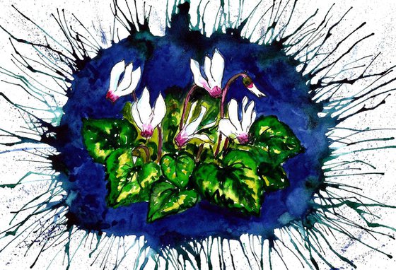 "Cyclamen"