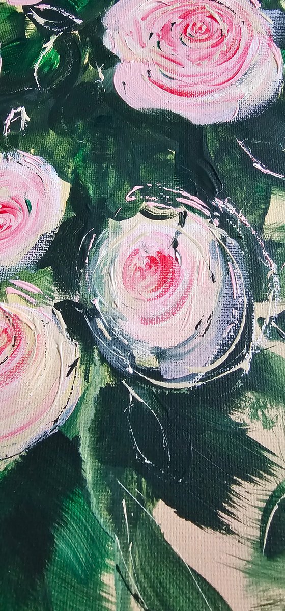 Pierre de Ronsard blooming roses bush