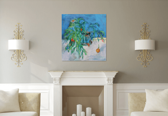 Schlumbergera. Christmas Cactus