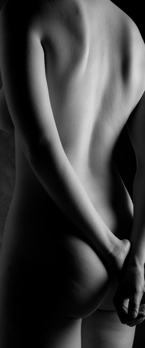 Studio Work (#913) by Robert Tolchin