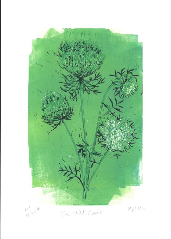 The Wild Carrot - Artist's Proof