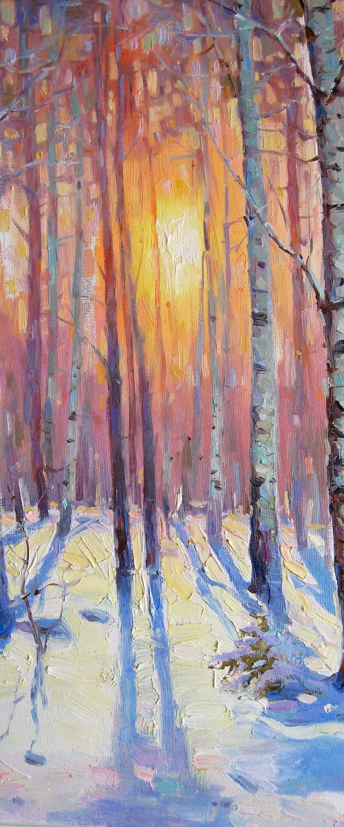 Winter forest. Birches by Vladimir Lutsevich
