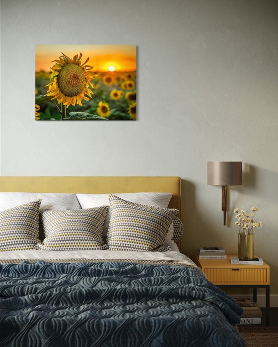 Golden Silence III – Last Light