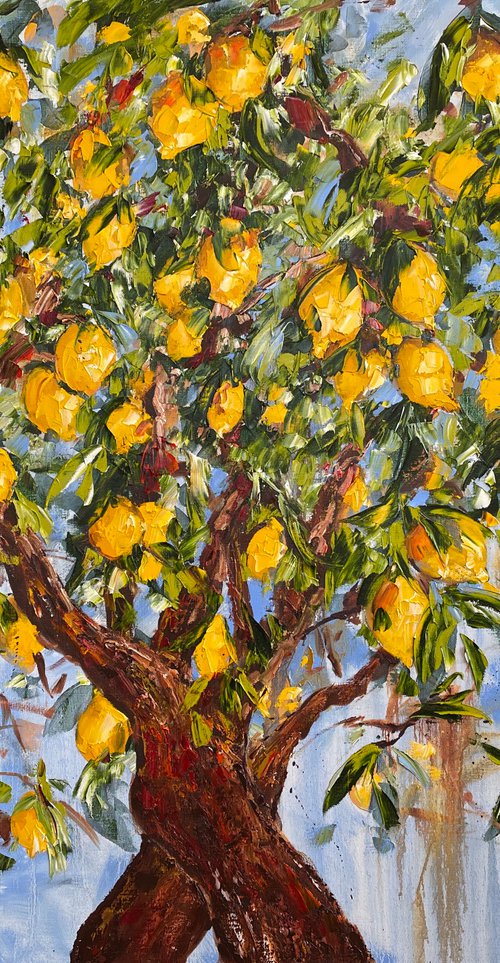 Lemon Tree by Diana Malivani