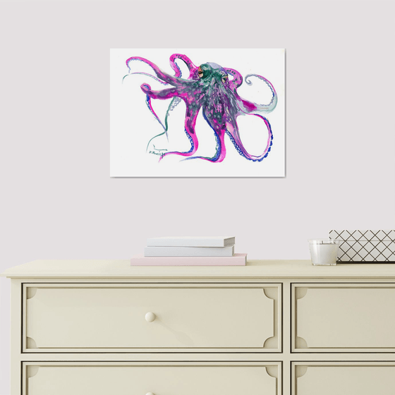 Octopus