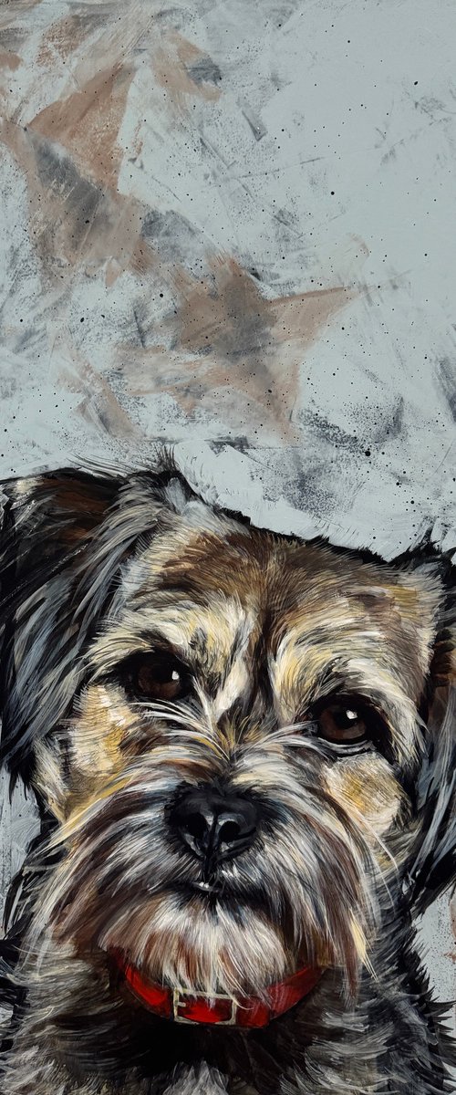 Bella The Border Terrier by Victoria Coleman