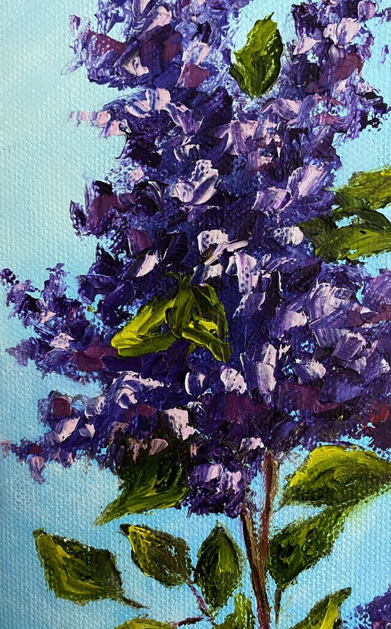 Spring lilac