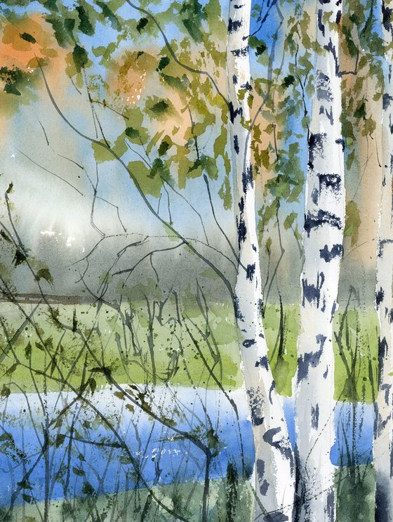 Birch Trees Landscape #1