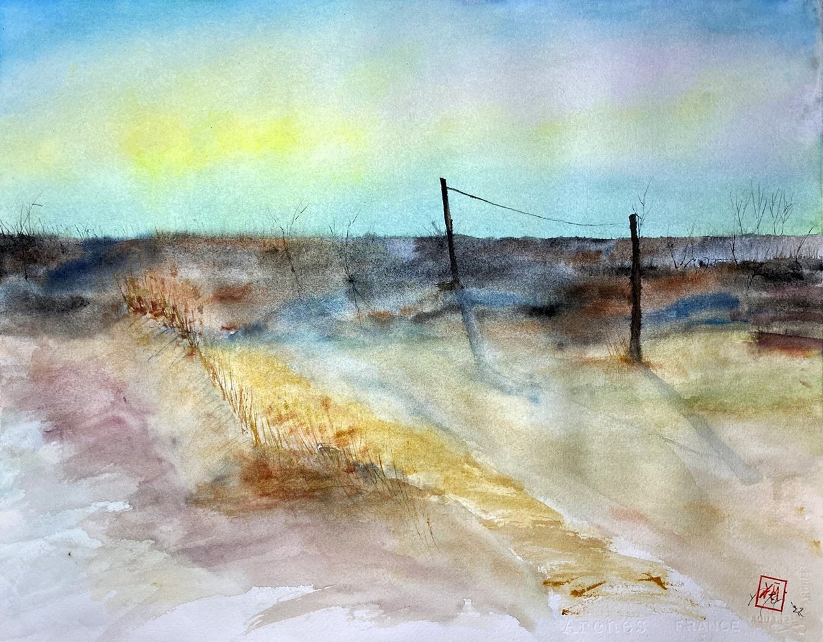 Organic Watercolour , A Scinnuta A Mari By YS?rei, 20 X 16, Artwork For Sale On Artfinder