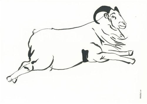 Ram I Animal Drawing by Ricardo Machado