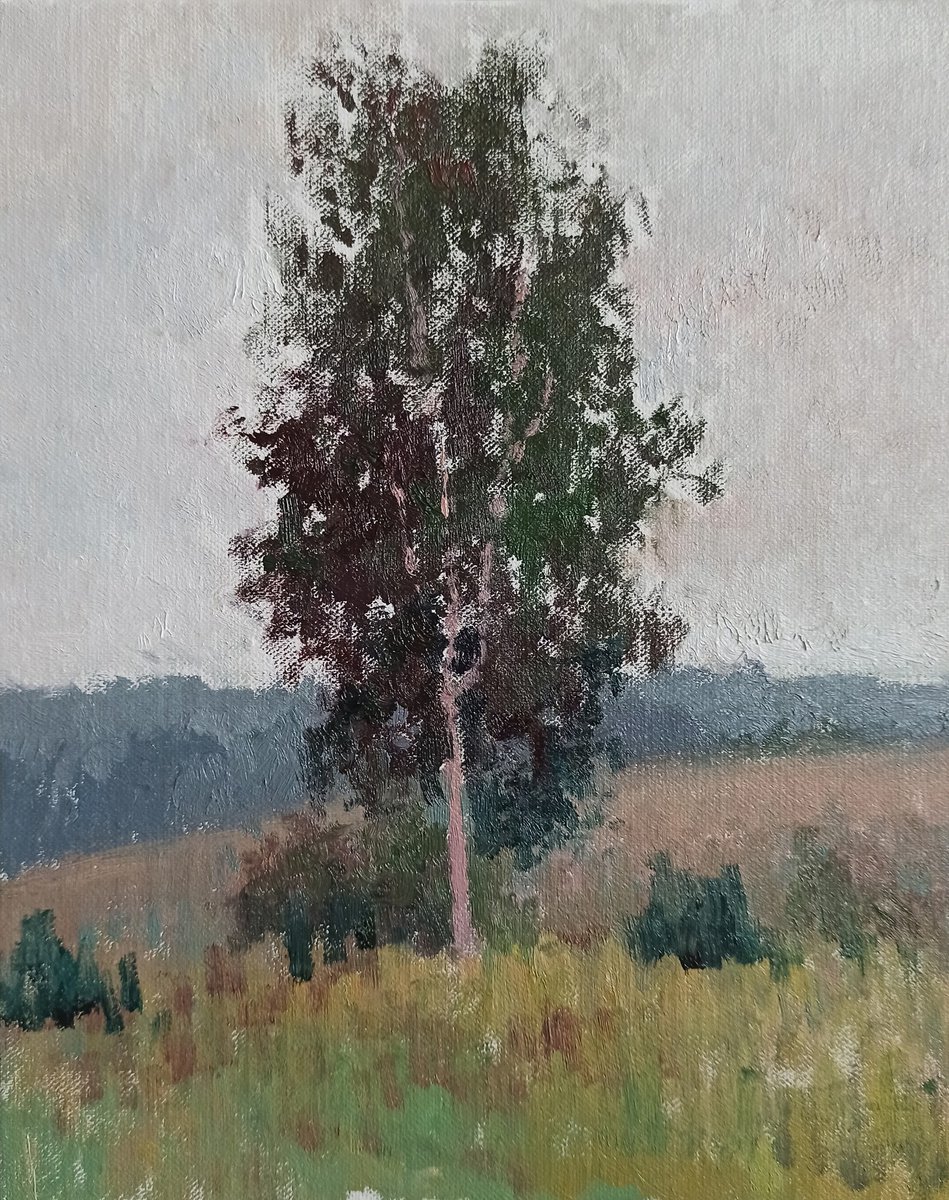 Lonely birch by Olga Goryunova