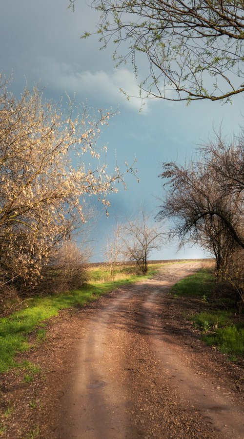 April road by Vlad Durniev