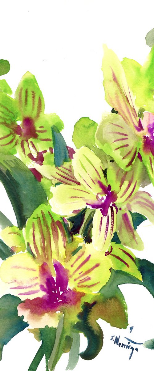 Green Orchid Flowers by Suren Nersisyan