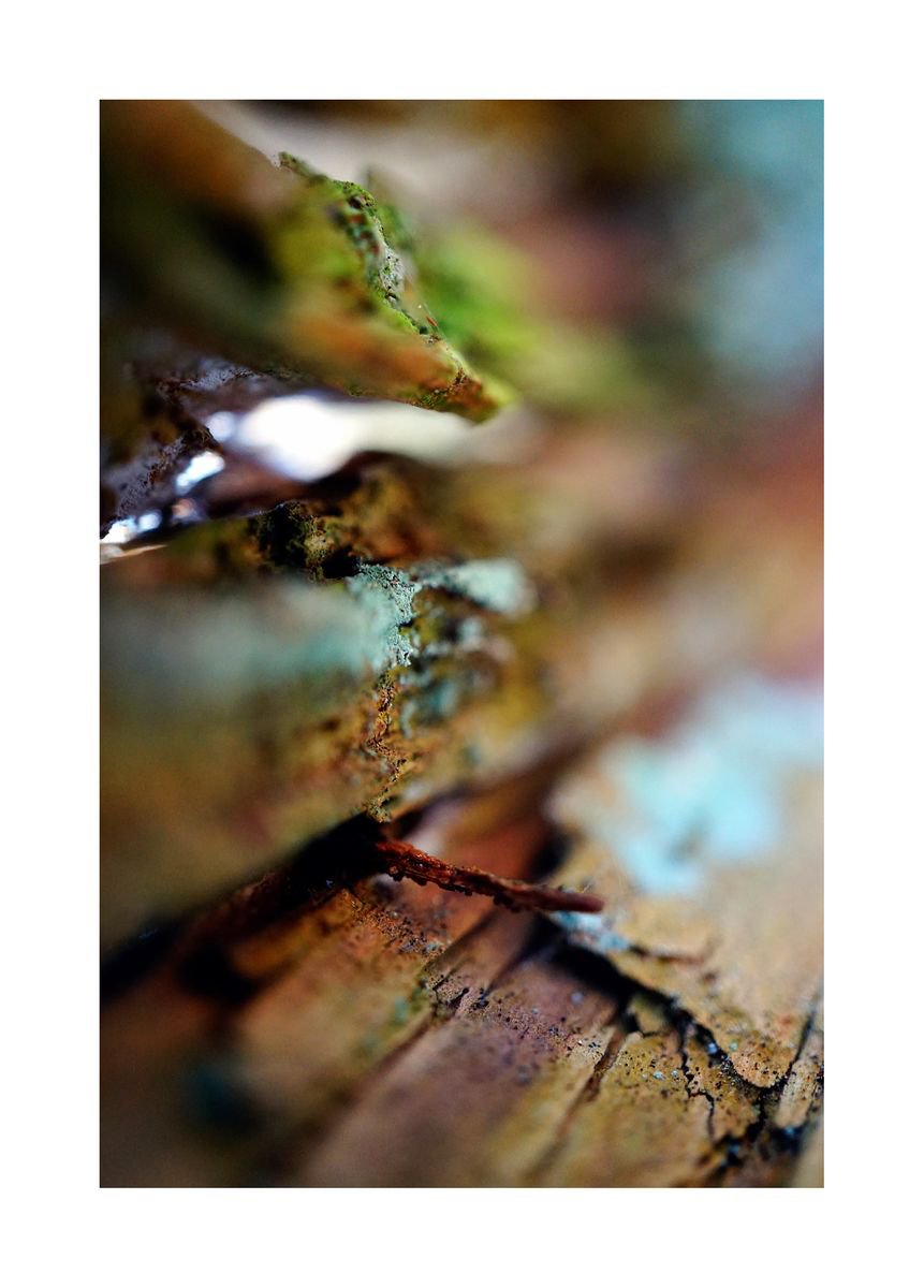 Abstract Nature Photography 56 (LIMITED EDITION OF 15) by Richard Vloemans