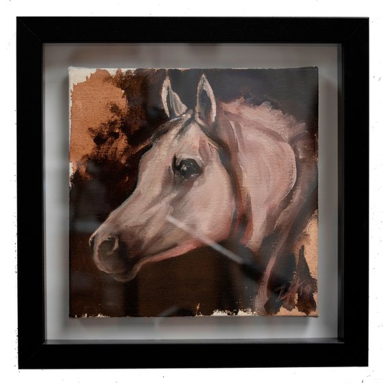 Equine Head Arab White (study 11)