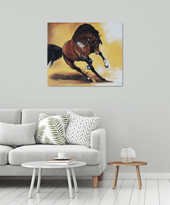 Brown horse running