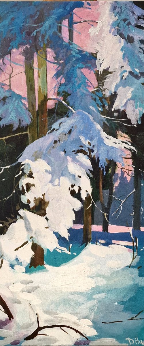 Winter sun by Dita Galas