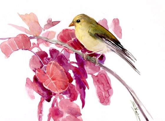 American Goldfinch on the Autumn tree