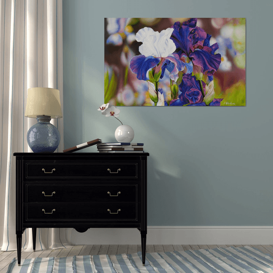 Purple and White Irises