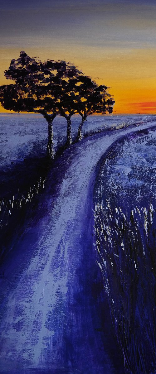 Sunset over Africa -  Fields and Colors Series by Danijela Dan