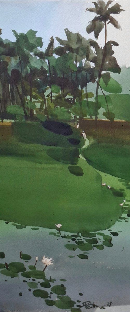 Green grass, lotus pond by Prashant Prabhu