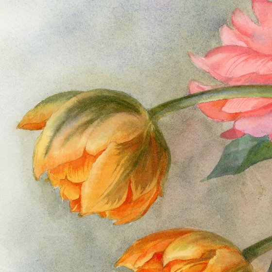 Breakfast with Tulips