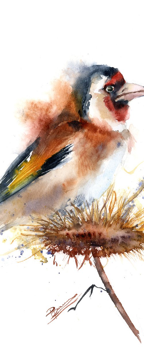 European goldfinch by Olga Tchefranov (Shefranov)