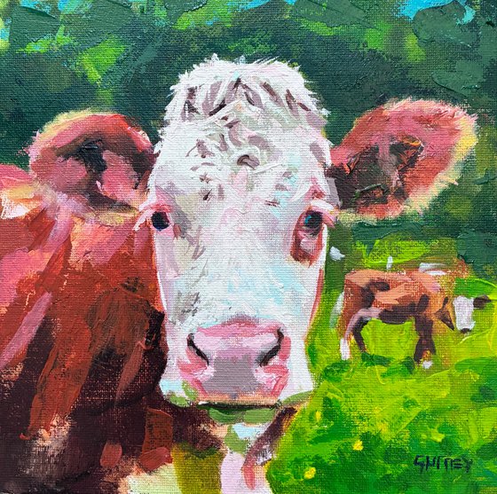 Brown Cow