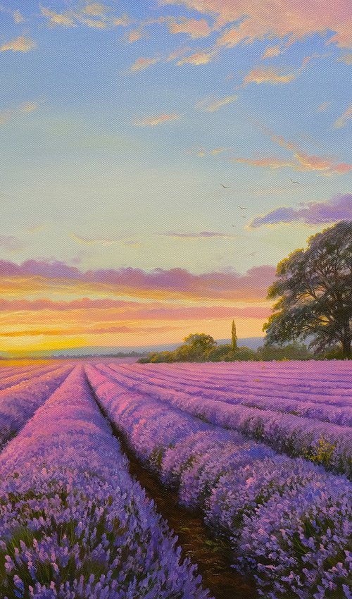 Lavender evening by Eduard Zhaldak