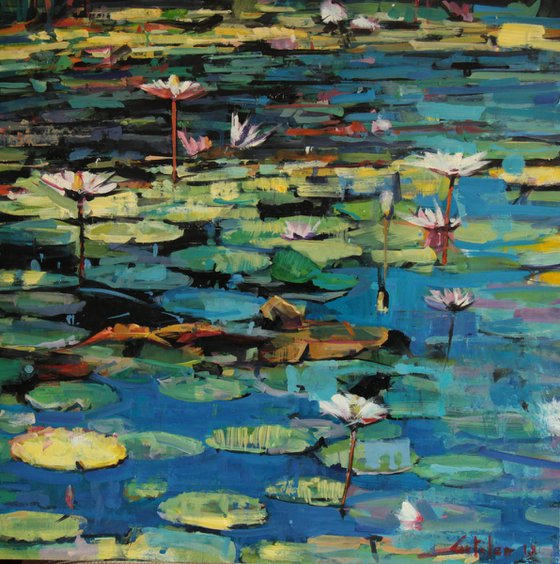 Waterlilies