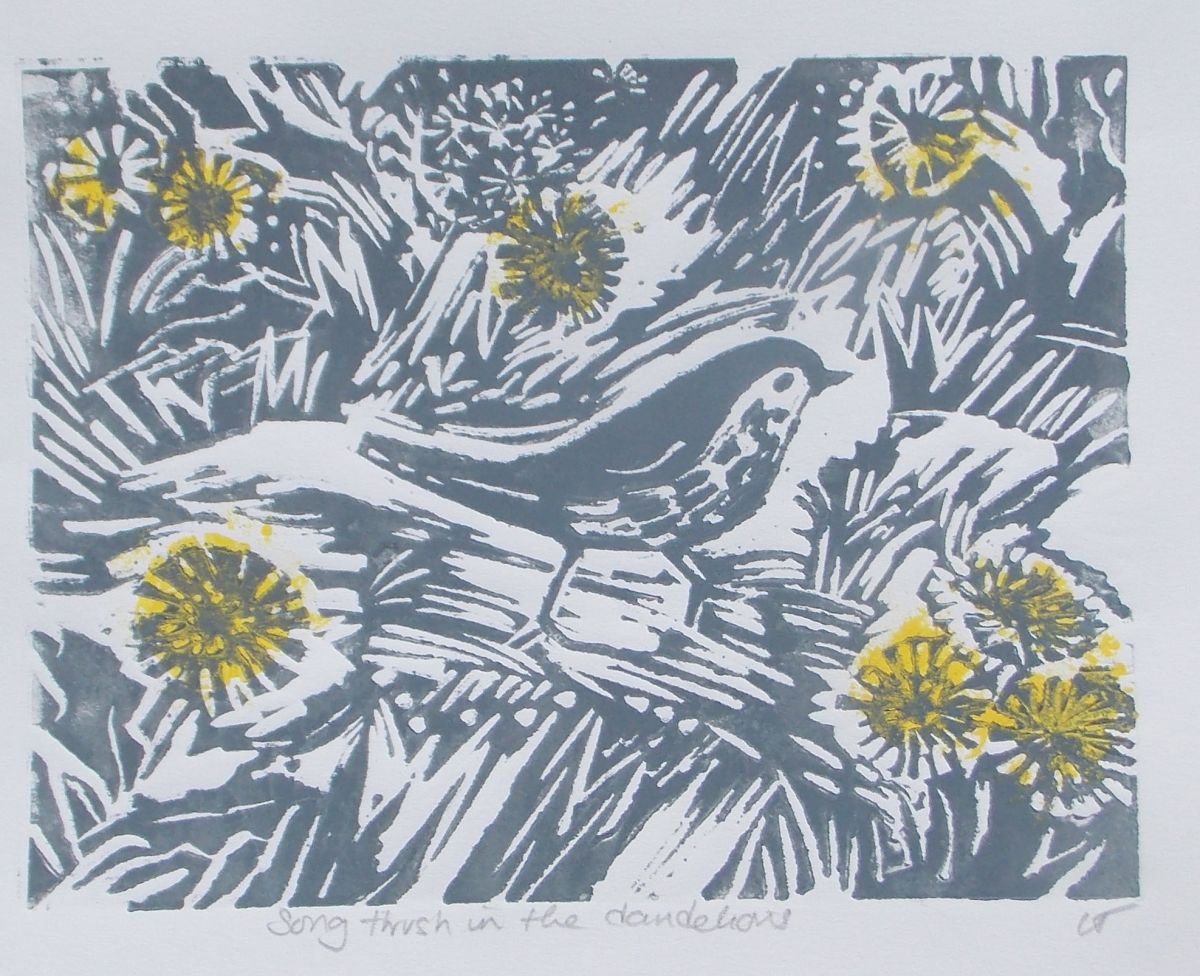Song Thrush Amongst the dandelions (in grey ink)
