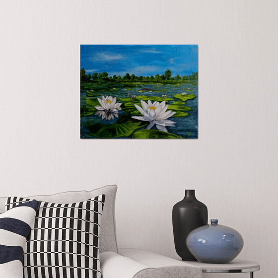 Water Lilies in  Pond