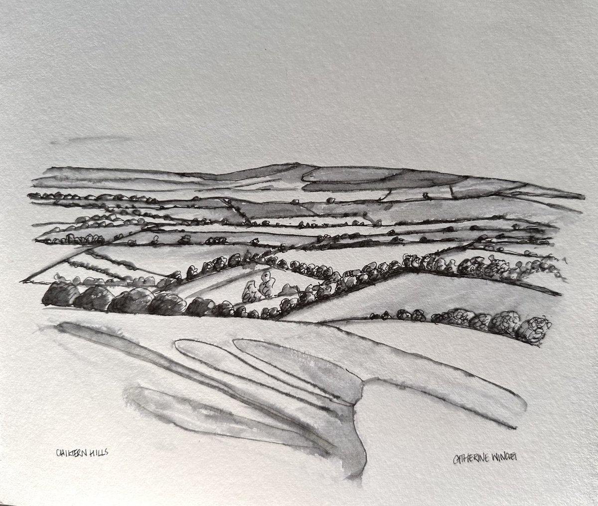 Landscape Ink Drawing By Catherine Winget, 8 X 9, Chiltern Hills, Buckinghamshire England. English Countryside., Artfinder