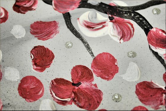 Cherry Blooming