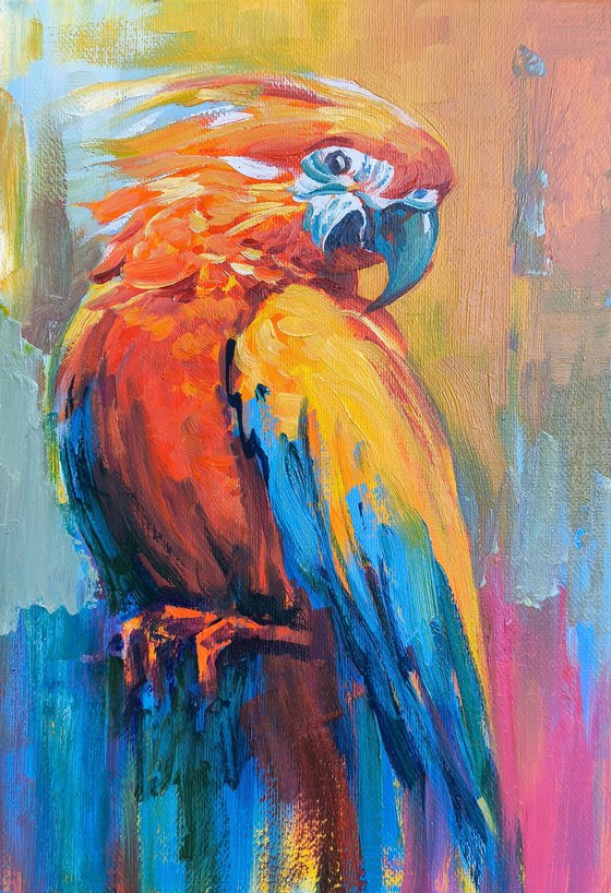 Colors of the Wild