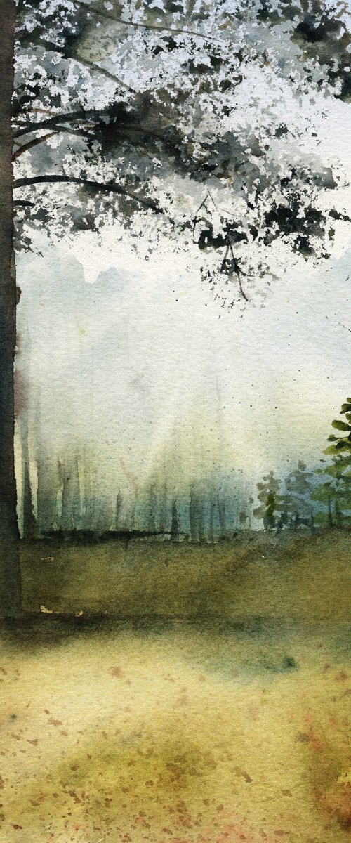 Sunlight in the woods by Tetiana Koda
