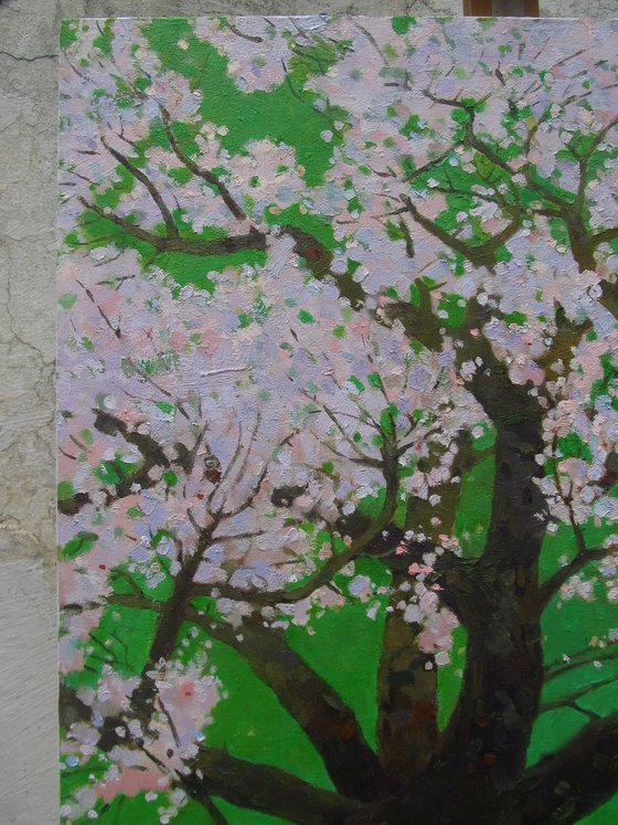 Spring Guardian