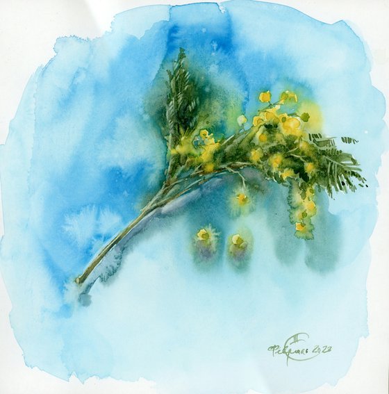 A sprig of mimosa. Still life. Spring.