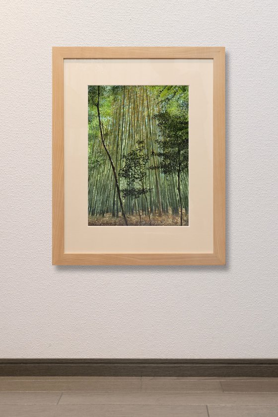 Bamboo Forest in Kyoto