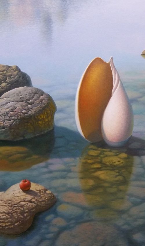 Seashell And Red Apple, 28x40 by Evgeni Gordiets