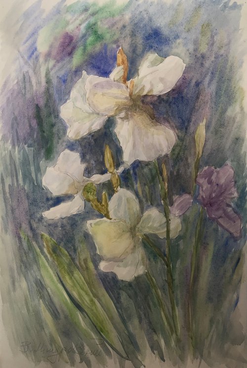 Lilies by Viktor Mishurovskiy