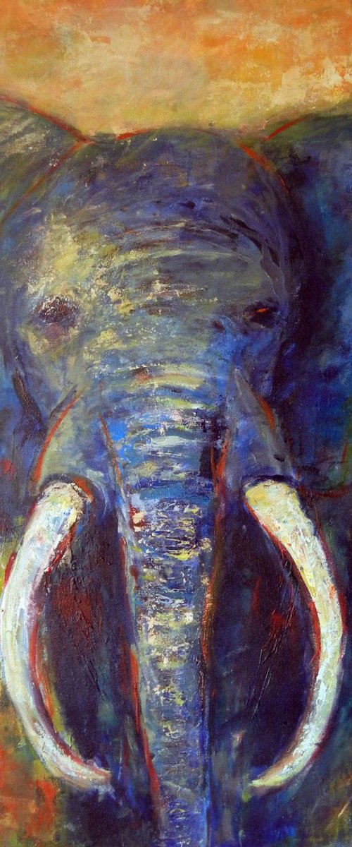 Elephant 48x36 by BenWill